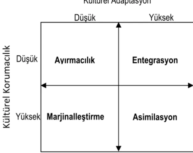 Şekil 2. Tek Boyutlu Kültürleşme Modeli (Arends-Toth, 2003: 13) 
