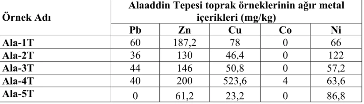 Çizelge 5.1.’de görüldüğü gibi, Alaadin Tepesinden alınan toprak  örneklerinin ortalama % 23 nem içerdiği belirlenmiştir