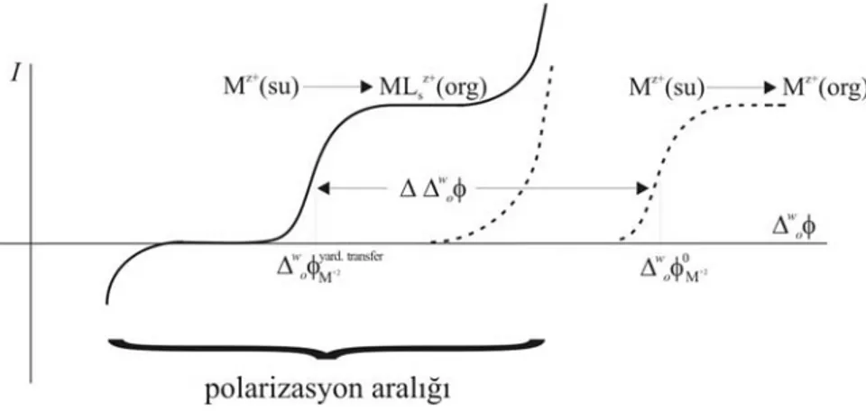 Şekil 1.29 Hidrofilik metal iyonunun Galvani transfer potansiyeline iyonofor veya  ligandın etkisi 