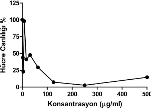 Şekil 7.3.7. 4-amino-kinaldin (V) için XTT sonucu konsantrasyona karşı Hücre  Canlılığı grafiği 