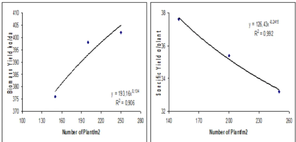 Figure 2. Biomass yield and specific yield in some plant populations (150, 200 and 250 plant/m 2 )