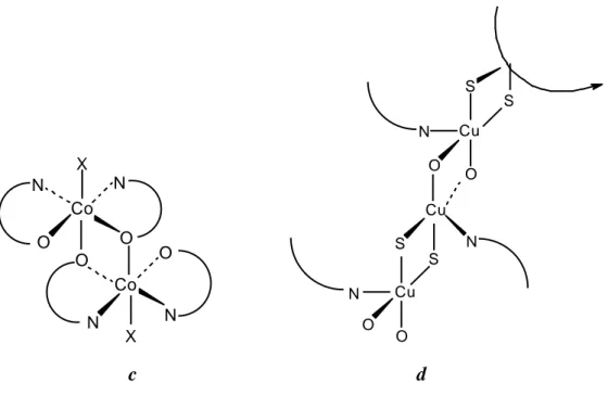 ġekil 1.1.2.a,b,c,d. Mononükleer, dinükleer ve polimerik kompleks çeşitleri. 