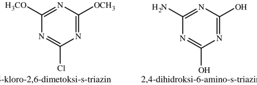ġekil 1.2.6. s-Triazin türevlerinin guanamin yapıları 