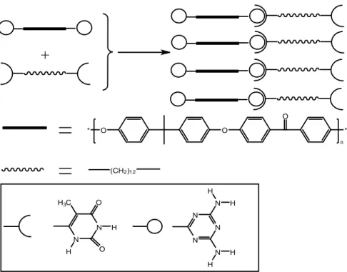 ġekil 1.3.2. Supramoleküler polimerler fonksiyonelden polietil, poliketonlar ve poliizobütilenler hidrojen  bağı vasıtasıyla elde edilmiştir