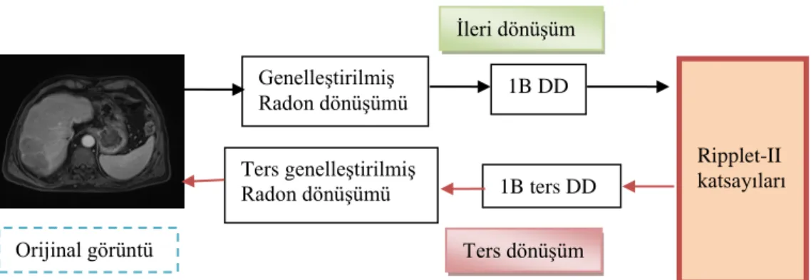 Şekil 3.10. Ripplet-II' ye ait ileri ve ters dönüşüm uygulama şeması 