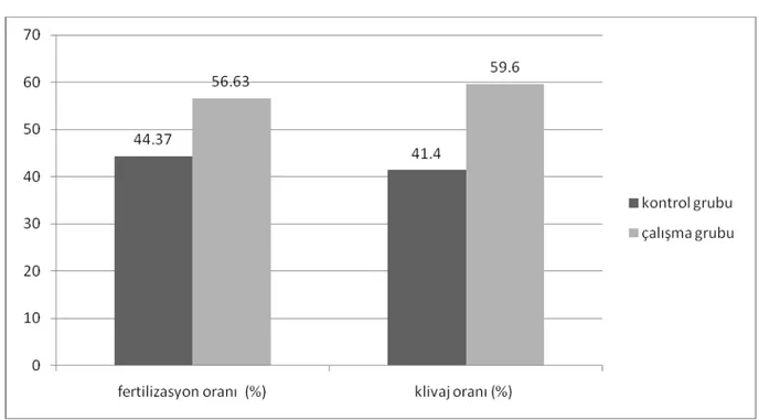 Grafik 1: Fertilizasyon ve Klivaj oranlarının karşılaştırılması 