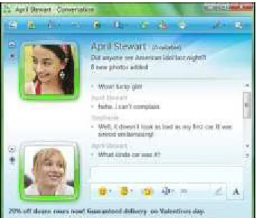Şekil  3.3.5.2.2.  Windows  Live  Messenger  Anlık  Konuşma  Penceresi  Ekranı  Reklam  Uygulamaları 