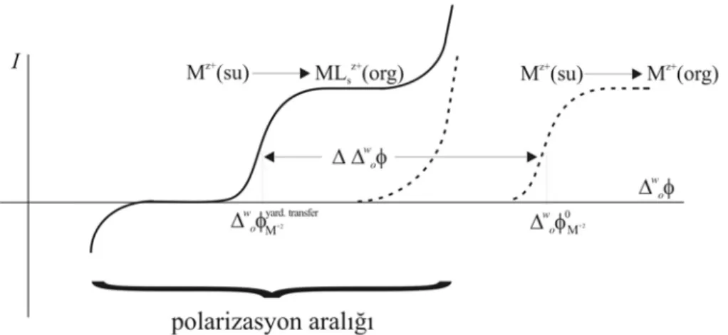 Şekil 1.9 İyonofor veya ligandın hidrofilik metal iyonunun transfer yarı dalga  potansiyeline etkisi 