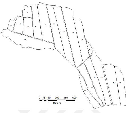 ġekil 3.3.  Alanözü köyü blok planlama haritası (Uyan, 2011) 