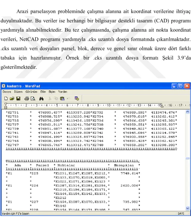 ġekil 3.9.  Örnek bir .cks uzantılı dosya formatı 