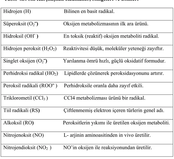 Tablo 4.3. Sık Karşılaşılan Radikaller, Simgeleri ve Etkileri  Hidrojen (H)                         Bilinen en basit radikal