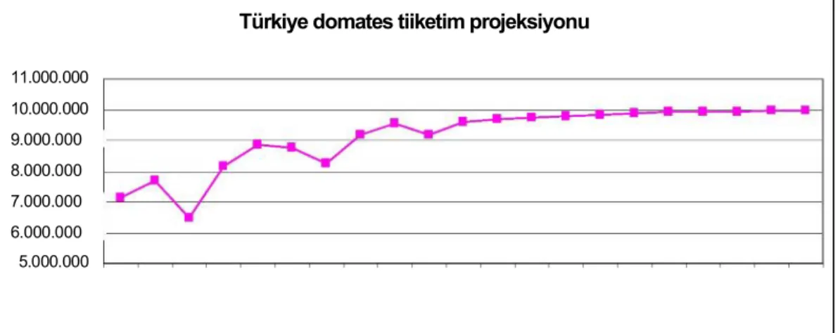 Şekil 4.6.Türkiye domates tüketim projeksiyonu