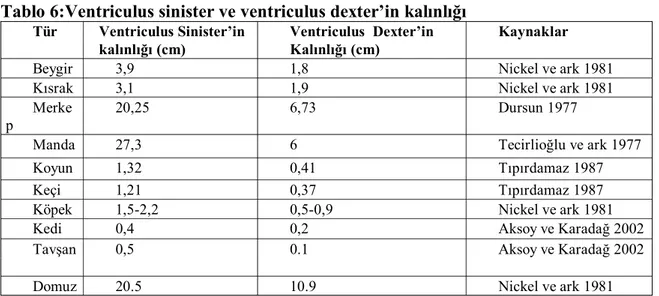 Tablo 6:Ventriculus sinister ve ventriculus dexter’in kalınlığı