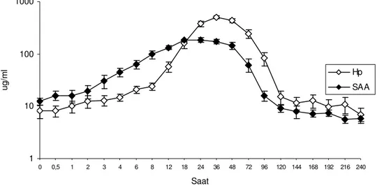 Grafik  3.7.  LPS  infüzyonunu  takiben  buzağıların  ortalama  Haptoglobin  ve  Serum  Amiloid  A’nın saatlere göre değişim grafiği (log 10,  Ortalama ±SE)  