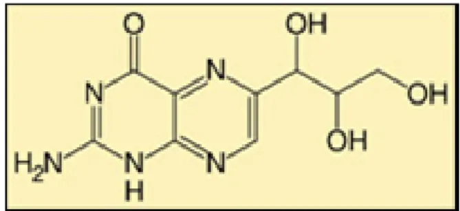 Şekil 1.10. Neopterin (D-eritro-1', 2', 3'-trihidroksipropilpterin) 