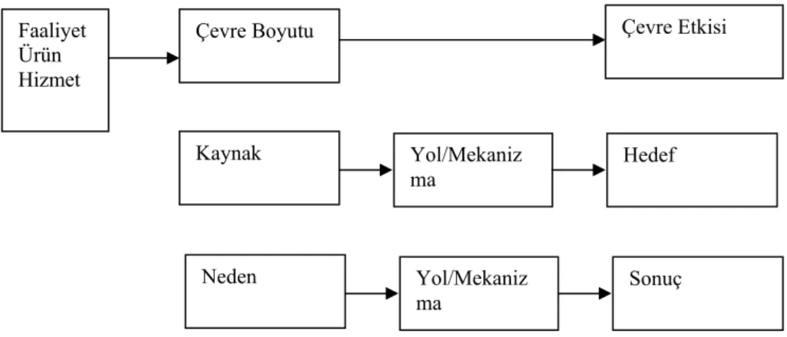 Şekil 1.3 : Çevre boyut ve etkileri arasındaki ilişki  