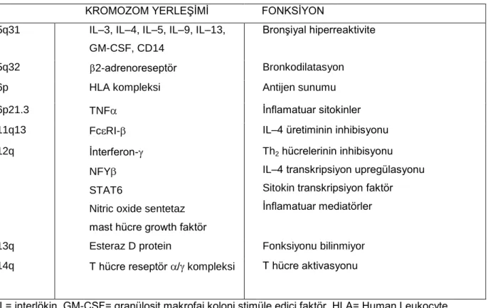 Tablo 1. Astım ve atopiden sorumlu genler  