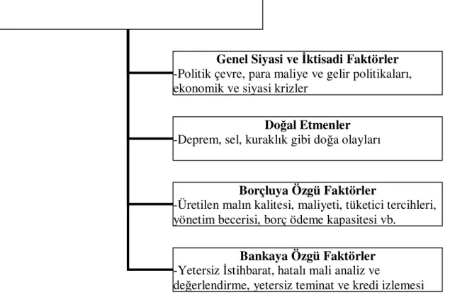 Şekil 1.4. Kredi Riskine Neden Olan Faktörler  