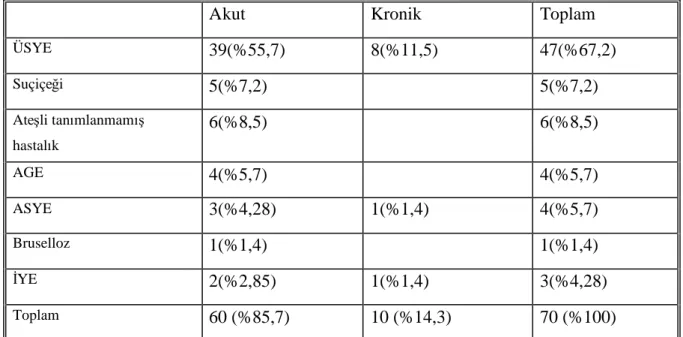 Tablo 13: Geçirilmişenfeksiyon tiplerinin dağ ı lı mı