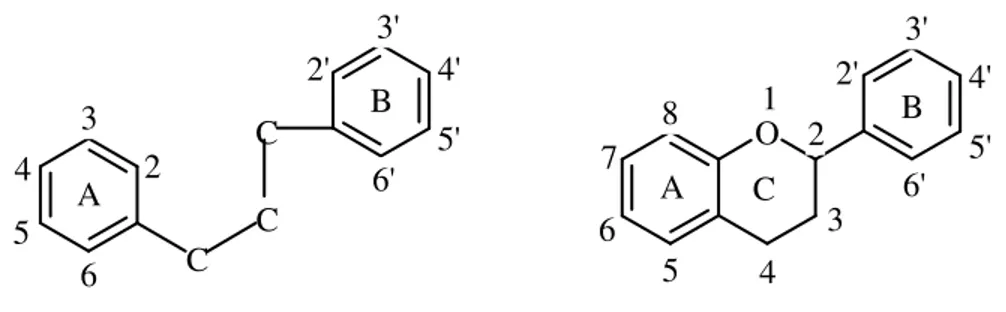 Şekil 1.10. Flavanoidlerin temel kimyasal yapısı 