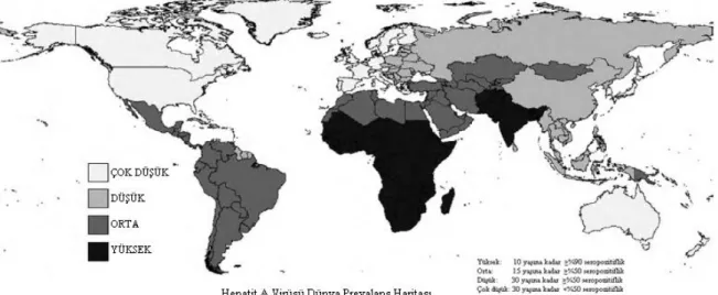 ġekil 2.1:Dünyada Hepatit A endemisitesi (Jacobsen  ve Wiersma 2010) 