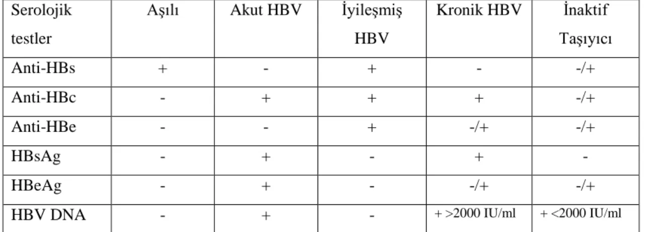 Tablo 2.5:Hepatit B seroloji ve klinik formların değerlendirilmesi (Ağca 2015)  Serolojik 