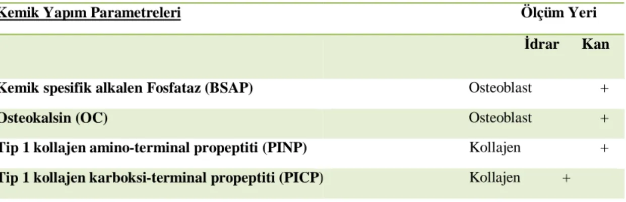Tablo 2.3:  Kemik Yap m ve Y m Parametreleri (Özgürta  ve Kutluay 2001)