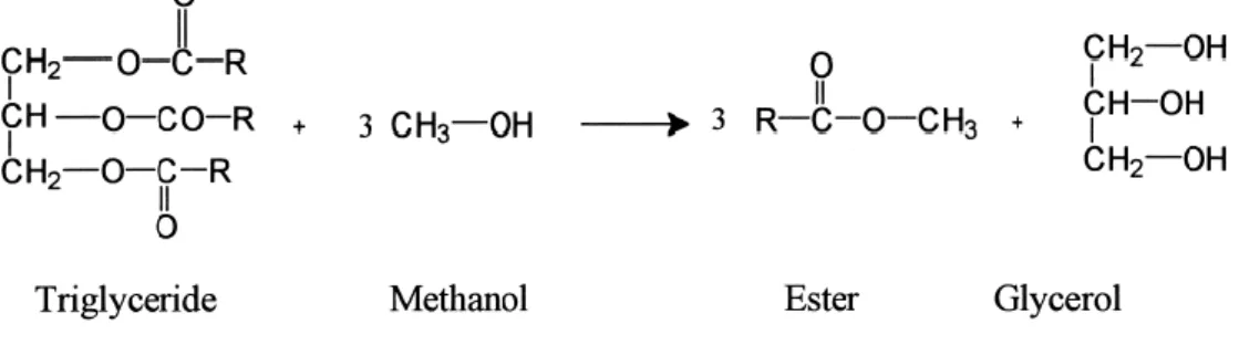 ġekil 11. Yağ analizi sırasında meydana gelen reaksiyon (Alcantara 2000) 
