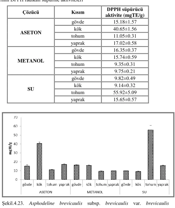 Tablo  4.23.  Asphodeline  brevicaulis  subsp.  brevicaulis  var.  brevicaulis  özütlerinin DPPH radikali süpürme aktiviteleri 