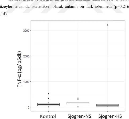 Şekil 3.14. Çalışmaya dahil edilen kontrol ve Sjögren alt gruplarının TNF-α (total miktar) düzeyleri