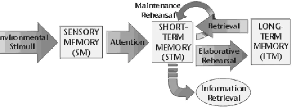 Figure 1. Three Stages of Memory 