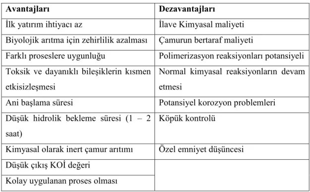 Çizelge 2.2. Fenton prosesinin avantajları ve dezavantajları 