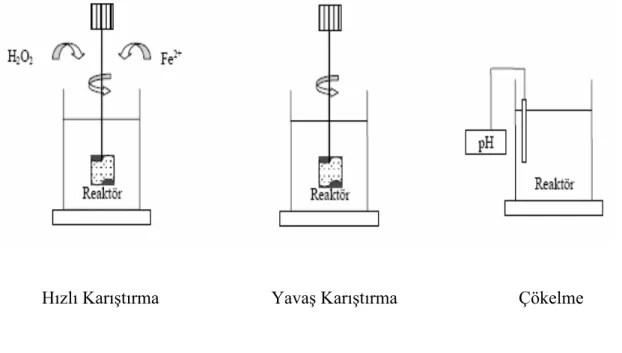 Şekil 3.2.  Fenton prosesi çalışmalarında kullanılan deney düzeneği 