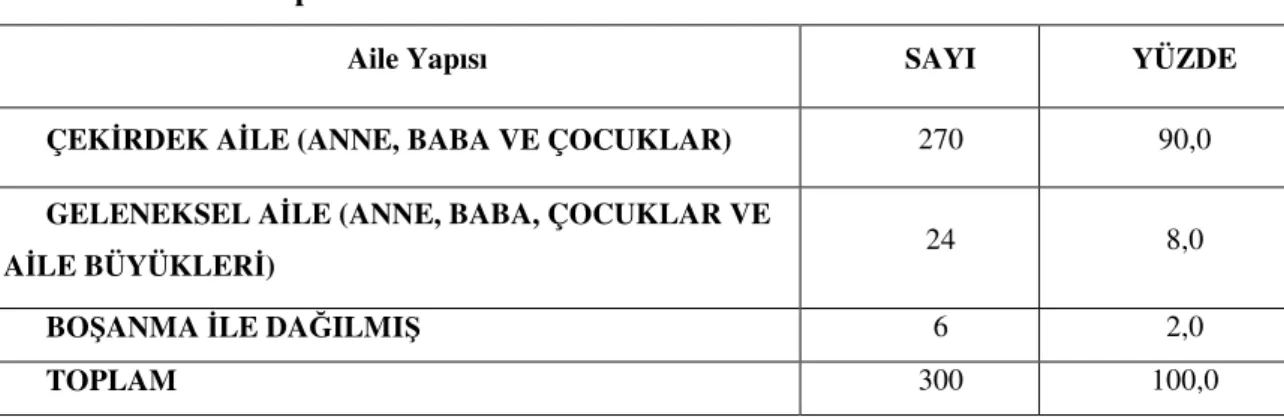 Tablo 10: Aile Yapısı 