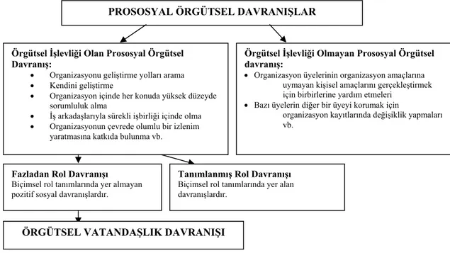 Şekil 1. Pro-Sosyal Örgütsel Davranış Kapsamında Vatandaşlık Davranışı 