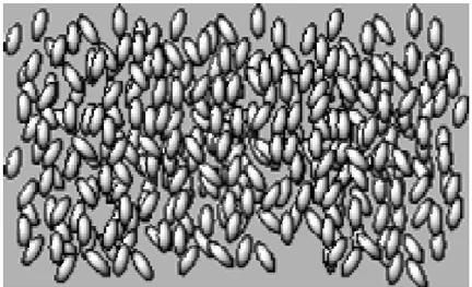 Şekil 1.1.6. Nematik, Sıvı Kristal Yapısının Model Görünümü 