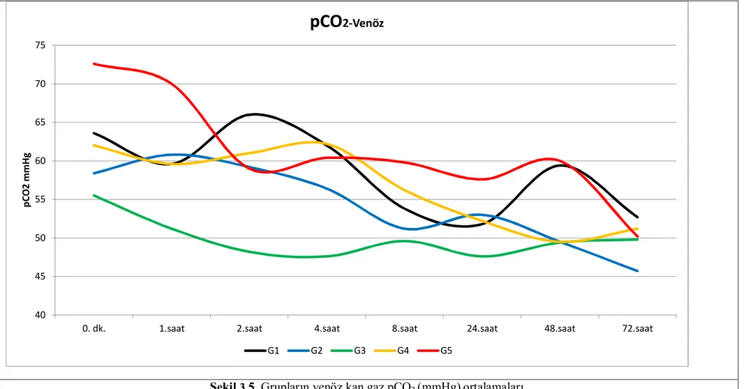 Şekil  3. 5. Grupların venöz kan gaz pCO 2  (mmHg) ortalamaları. 