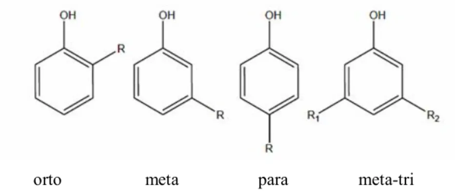 Şekil : Fenolik bileşiklerin sübstitüsyon modeli için bilimsel adlandırma.R,R1 ve R2  genel sübstitüentlerdir