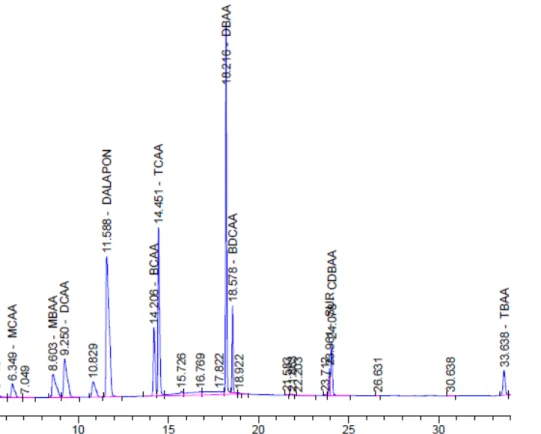 Şekil 3.11 200-2000 ppb konsantrasyonunda metil derivatize HAA standardı için  elde edilen GC-µECD kromatogramı