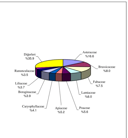 Çizelge 6.1   Ara tırma alanında en çok takson içeren familya ve cinsler 