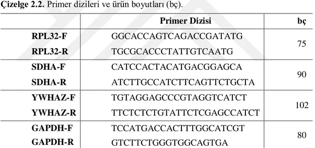 Çizelge 2.2. Primer dizileri ve ürün boyutları (bç).  