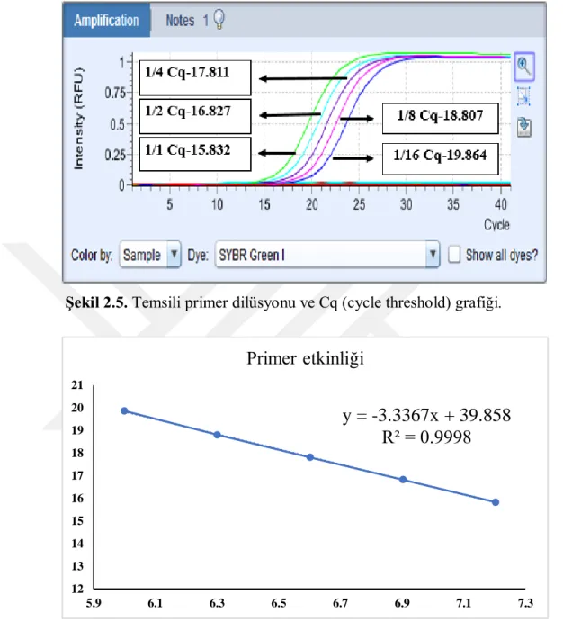 Şekil 2.6. Temsili primer etkinliği grafiği ve denklemi.   