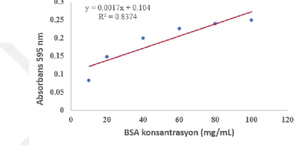 Şekil 2.8. BSA dilüsyon ve absorbans grafiği. 