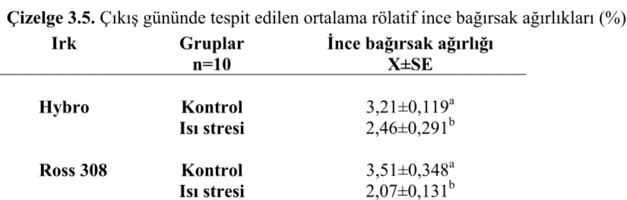 Çizelge 3.5. Çıkış gününde tespit edilen ortalama rölatif ince bağırsak ağırlıkları (%)