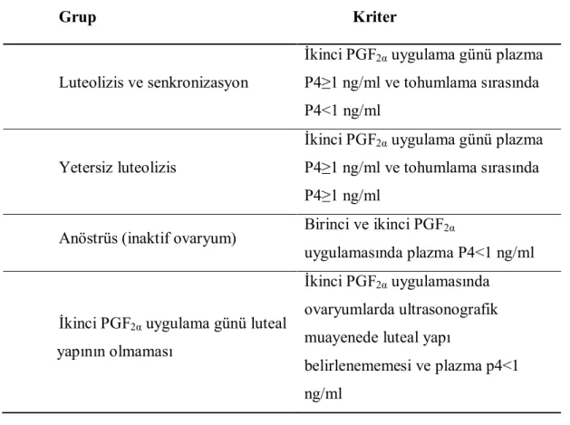 Çizelge 2.1. PGF 2α  uygulamaları sonrası oluşan ovaryum cevabı ve ovaryum aktivitesine ait bulgular ve hayvanların gruplandırılması sırasında dikkate alınan kriterler.