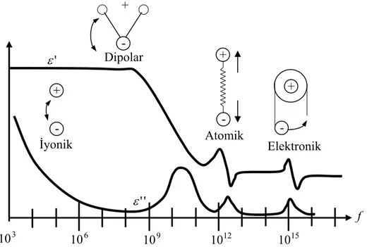 Şekil 2.9. Dielektrik mekanizmalarının frekans karşılıkları 