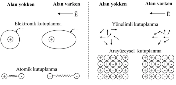 Şekil 2.10.  Kutuplanma mekanizmaları 