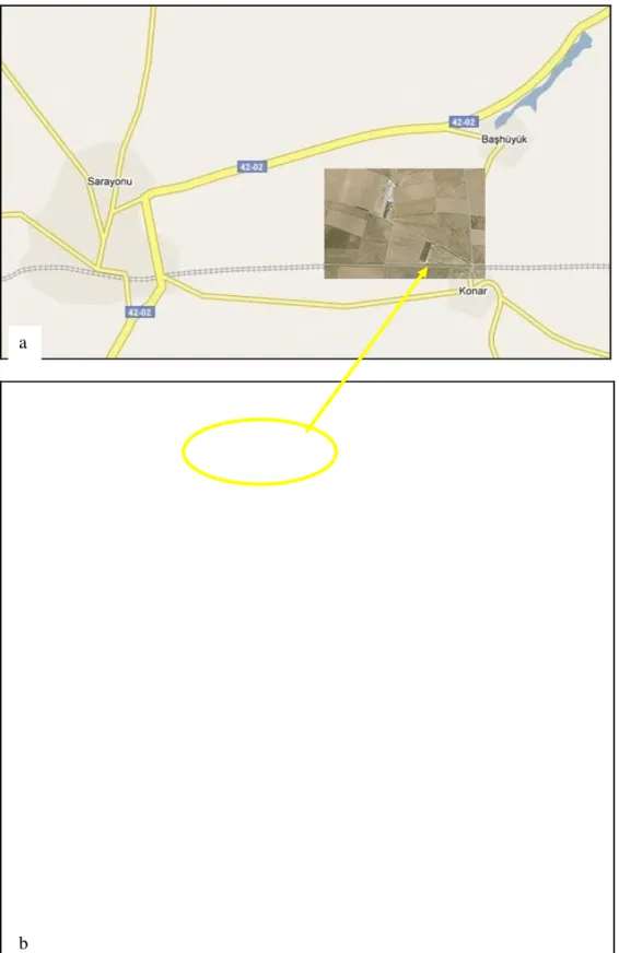 Şekil 3.1. Sarayönü ilçesinde araştırmanın yapıldığı arazinin haritadaki konumu (a),                       uydu görüntüsü (b) 
