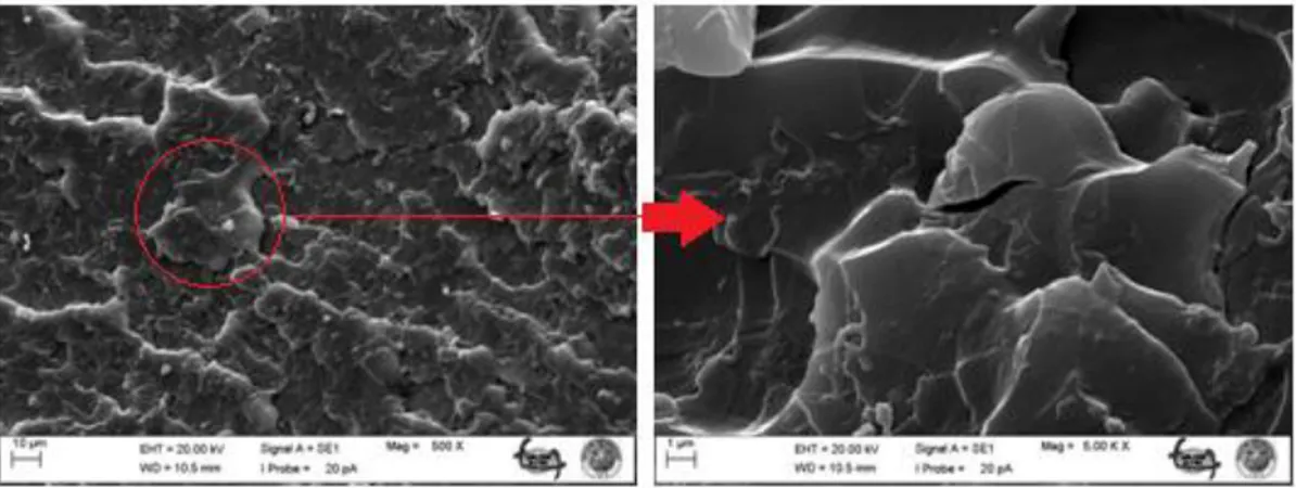Şekil  4.5    %4  nano  SiO 2   katkılı  epoksi  çekme  numunesinin  kırılma  yüzeylerinin  SEM  görüntüleri        a)10 µm b) 1µm