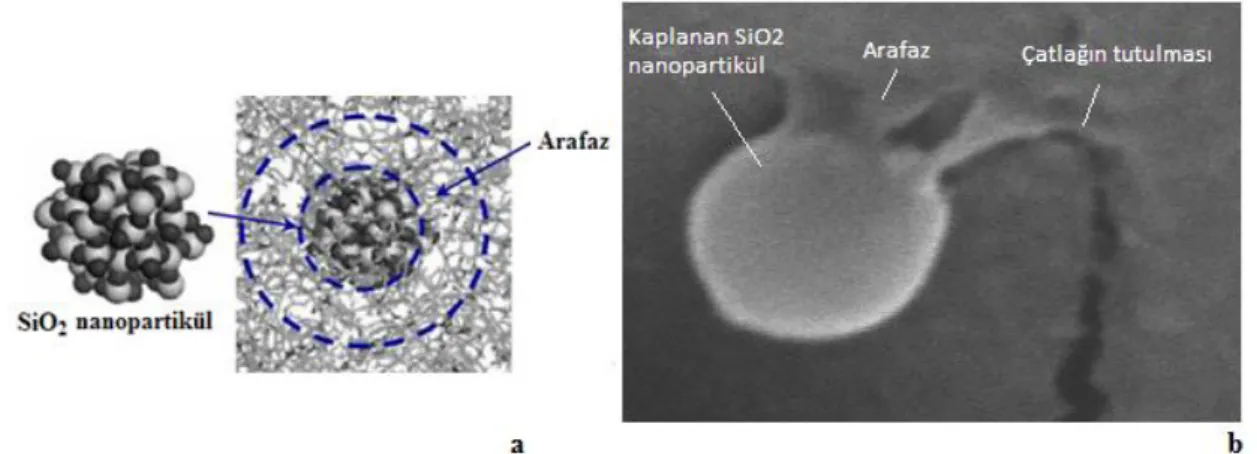 Şekil 4.7 a) SiO 2  nanopartikül etrafından arafaz oluşumunun şematik gösterimi  (Zhang ve ark